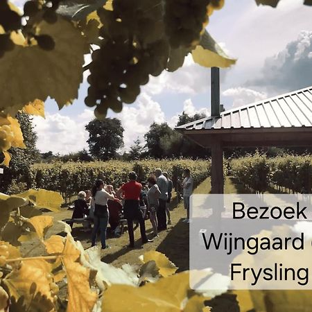 Familychalet De Schaapskooi, 6-Persons, Big Private Garden, Dogs Aloud Westergeest Zewnętrze zdjęcie