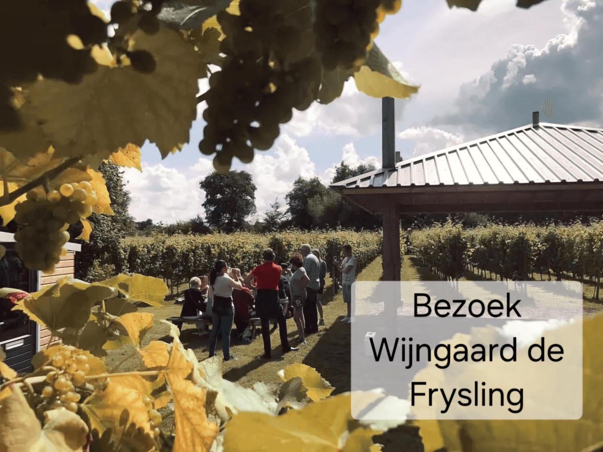Familychalet De Schaapskooi, 6-Persons, Big Private Garden, Dogs Aloud Westergeest Zewnętrze zdjęcie