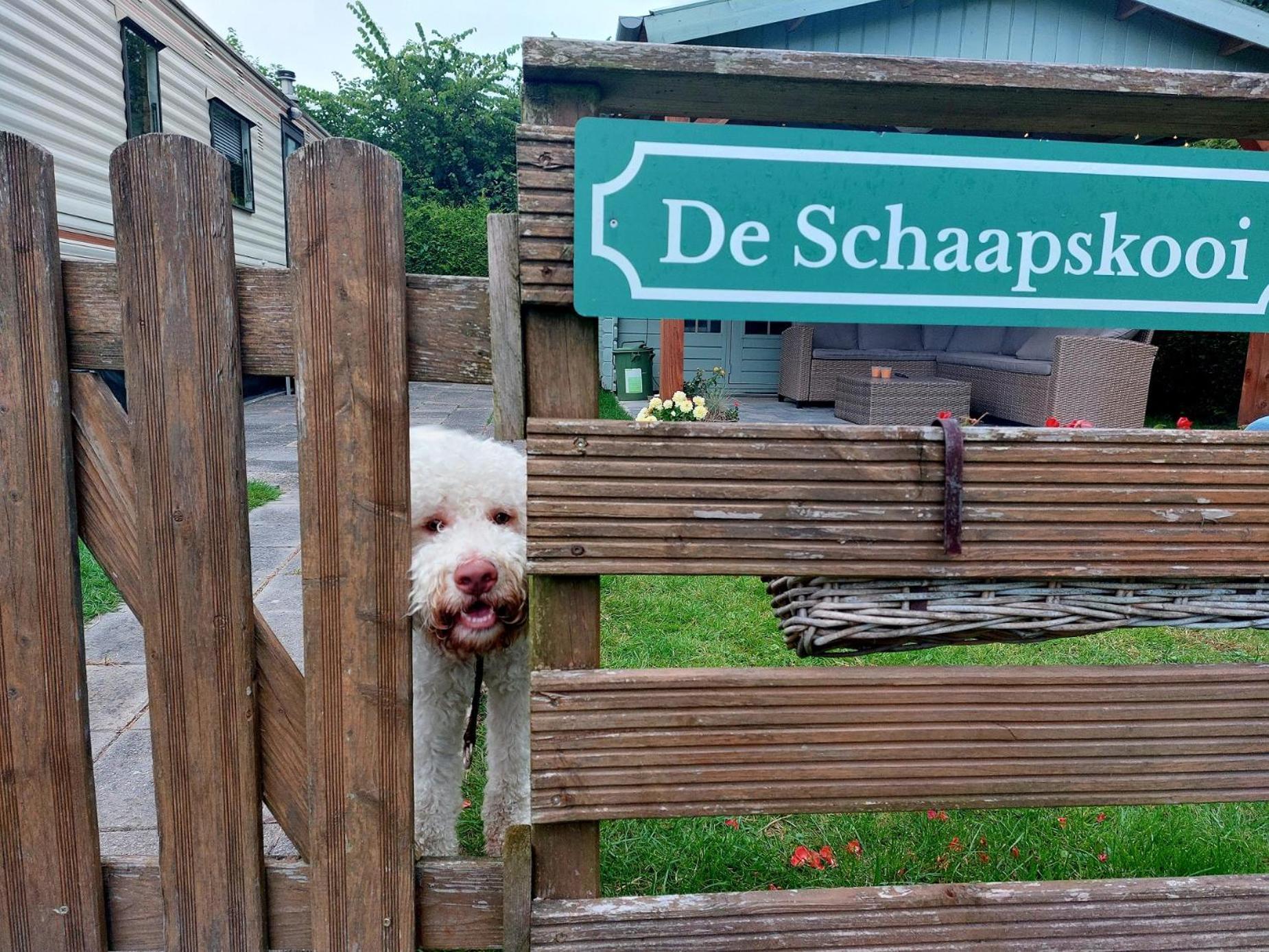 Familychalet De Schaapskooi, 6-Persons, Big Private Garden, Dogs Aloud Westergeest Zewnętrze zdjęcie